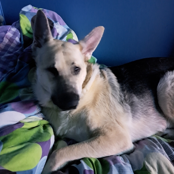 🎀STOCKING STUFFERS!🎁 - Picture 3 of 4